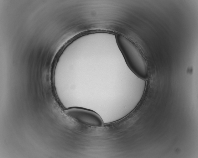 X0000112870884200909181822