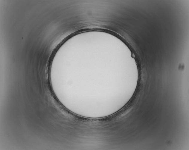 X0000112870885200909181822