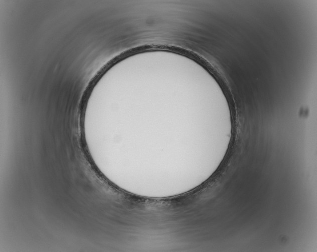 X0000112870887200909181822