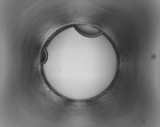 X0000112870888200909181822