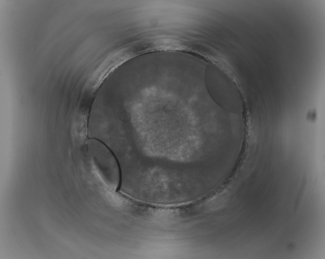 X0000112870889200909181822