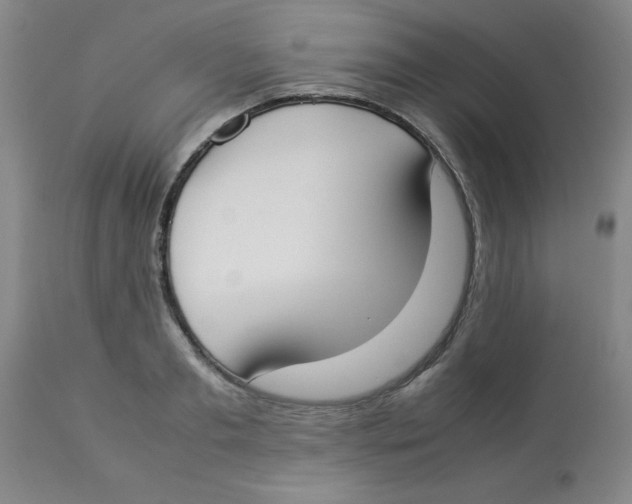 X0000112870893200909181822