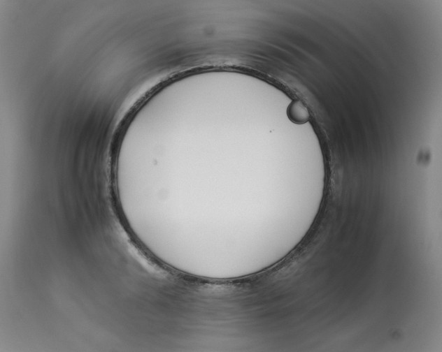 X0000112870894200909181822