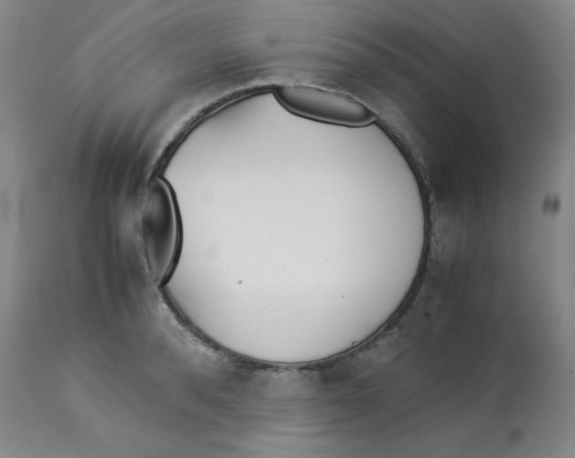 X0000112870896200909181821