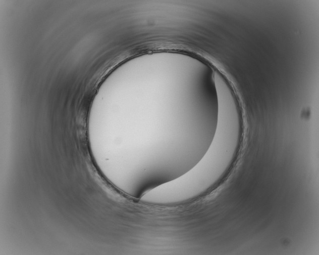 X0000112870897200909181821