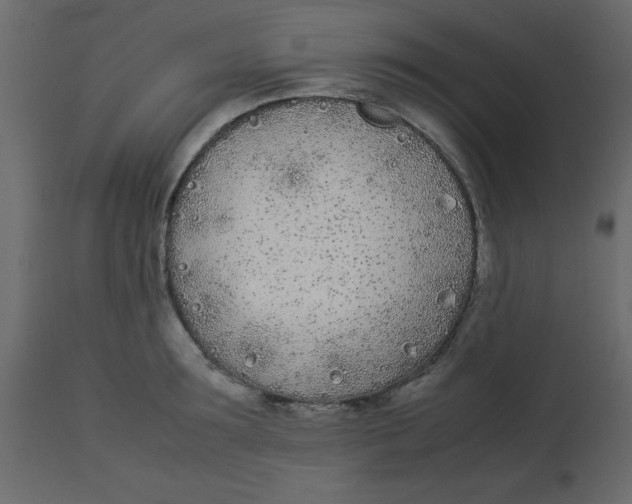 X0000112870899200909181821