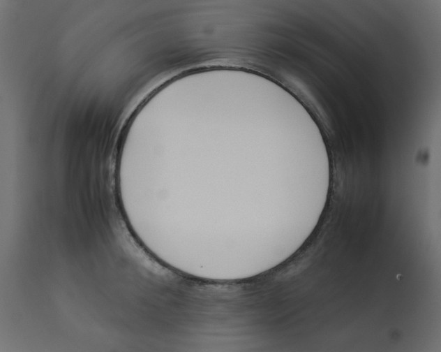 X0000112870900200909181821