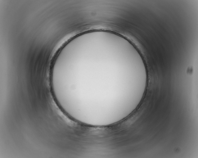 X0000112870902200909181821