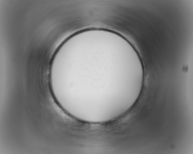 X0000112870903200909181821