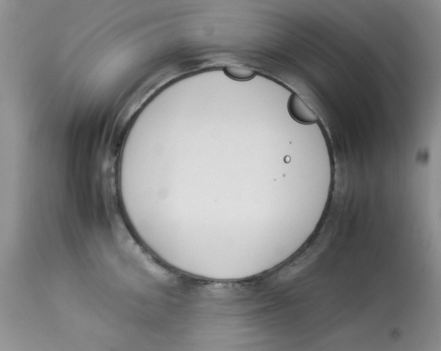 X0000112870906200909181821