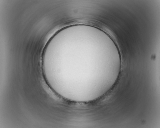 X0000112870907200909181821