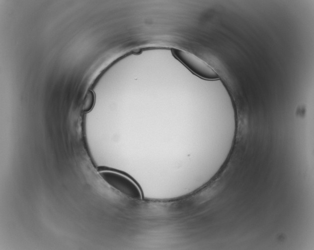 X0000112870908200909181821