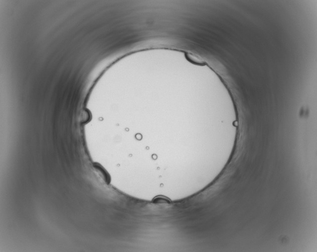 X0000112870912200909181821