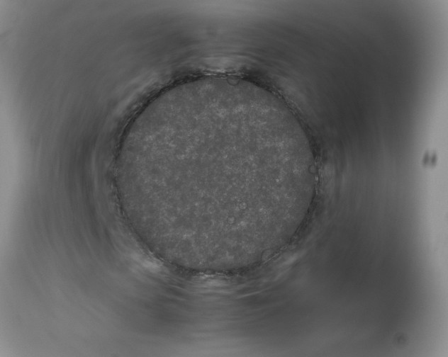 X0000112870913200909181821