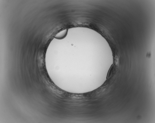 X0000112870915200909181821