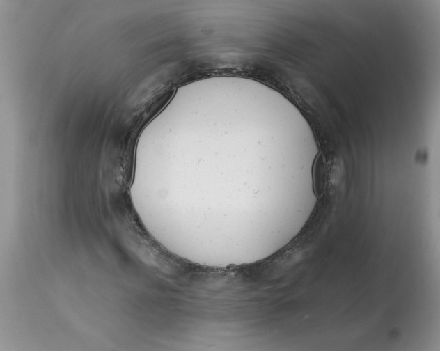 X0000112870916200909181821