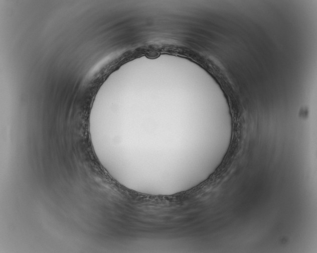 X0000112870919200909181821