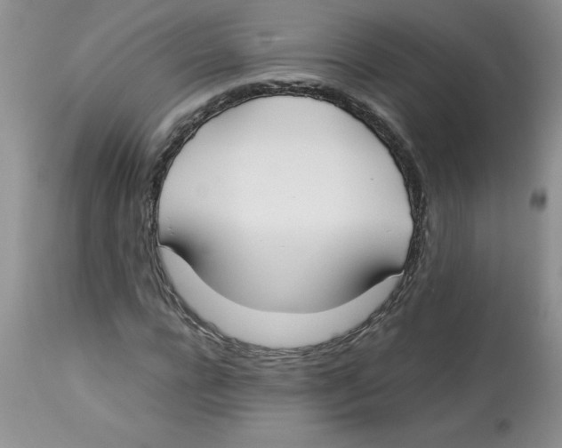 X0000112870920200909181821