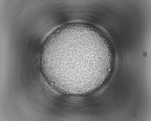 X0000112870921200909181821