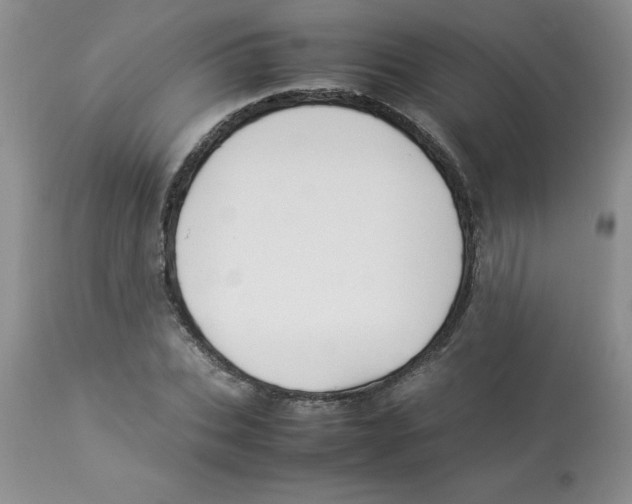 X0000112870927200909181821