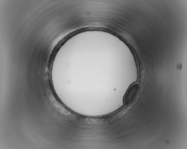 X0000112870928200909181821