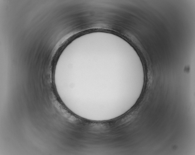 X0000112870931200909181821