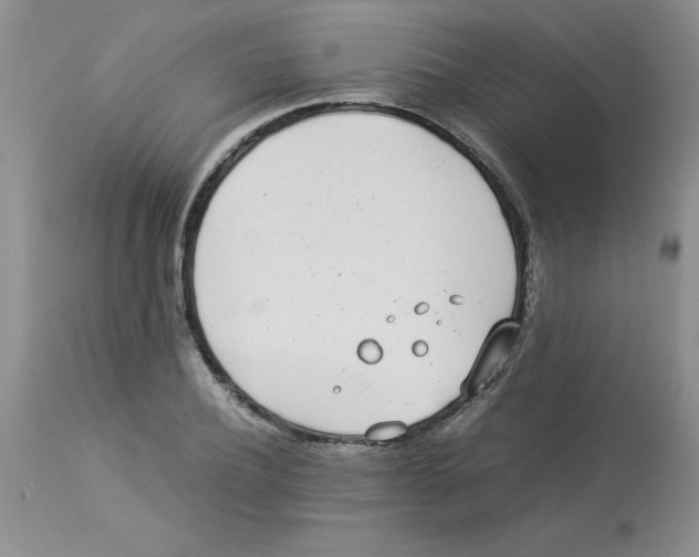 X0000112870932200909181821