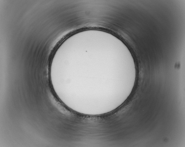 X0000112870934200909181821