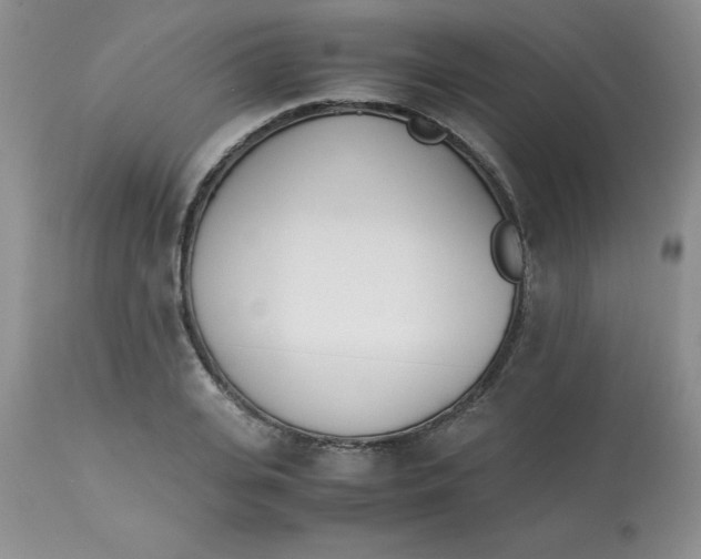 X0000112870935200909181821