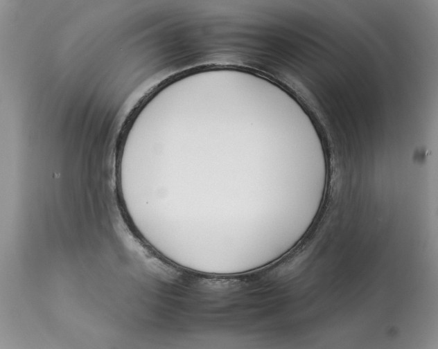 X0000112870939200909181821