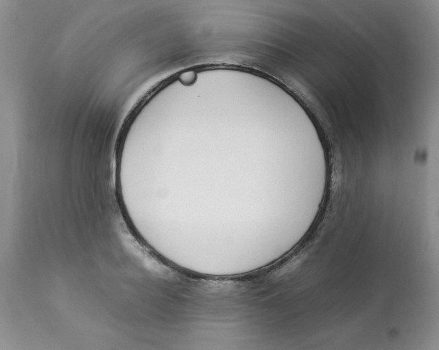 X0000112870940200909181821