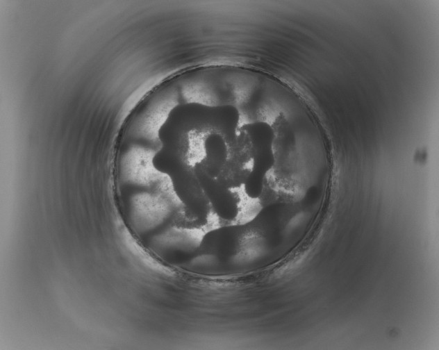 X0000112870941200909181821