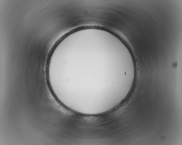 X0000112870943200909181821