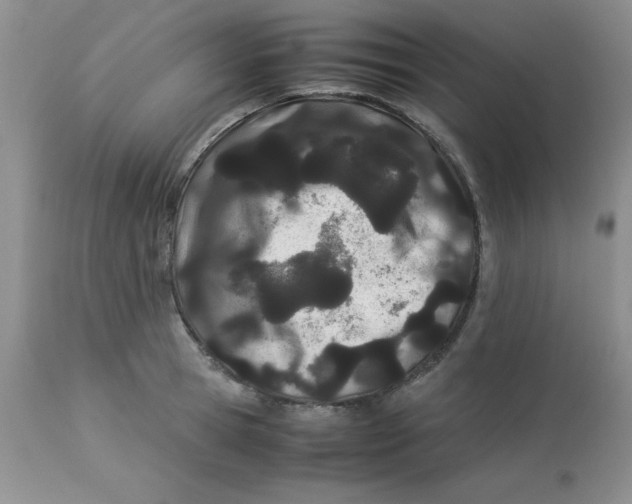 X0000112870945200909181821