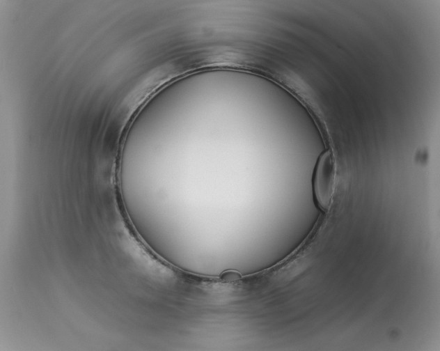 X0000112870946200909181821