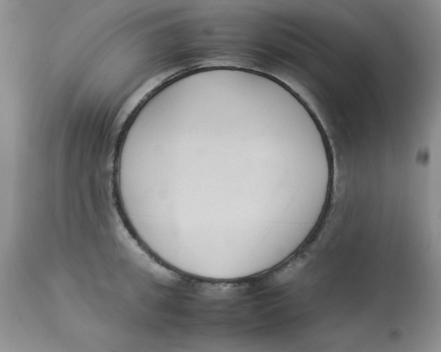 X0000112870949200909181821