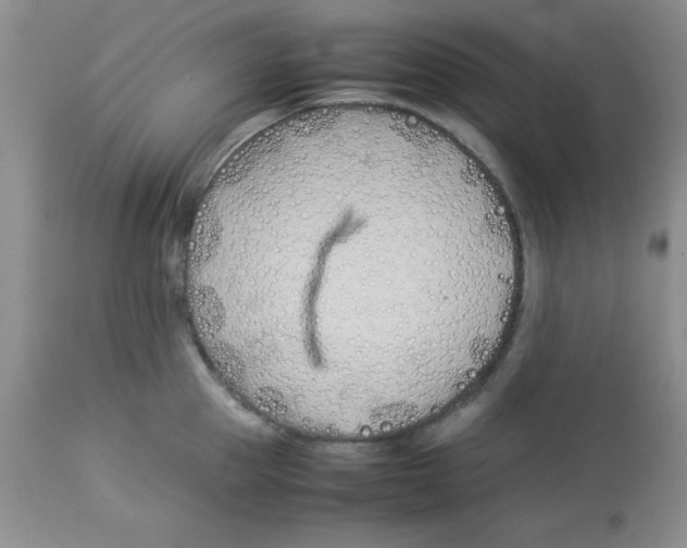 X0000112870953200909181821