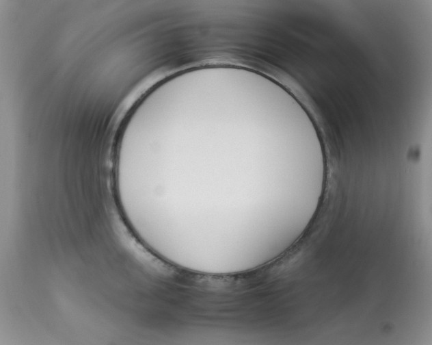 X0000112870955200909181821