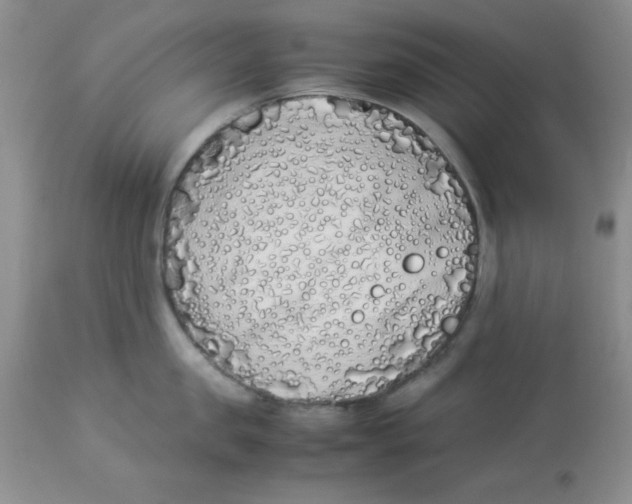 X0000112870957200909181821