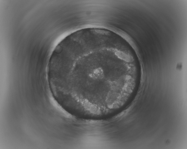 X0000112870958200909181821