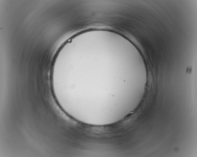 X0000112870959200909181821