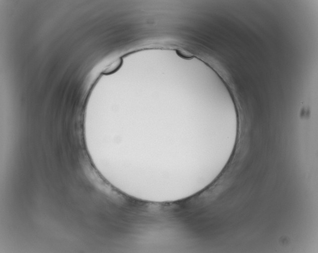 X0000112870960200909181821