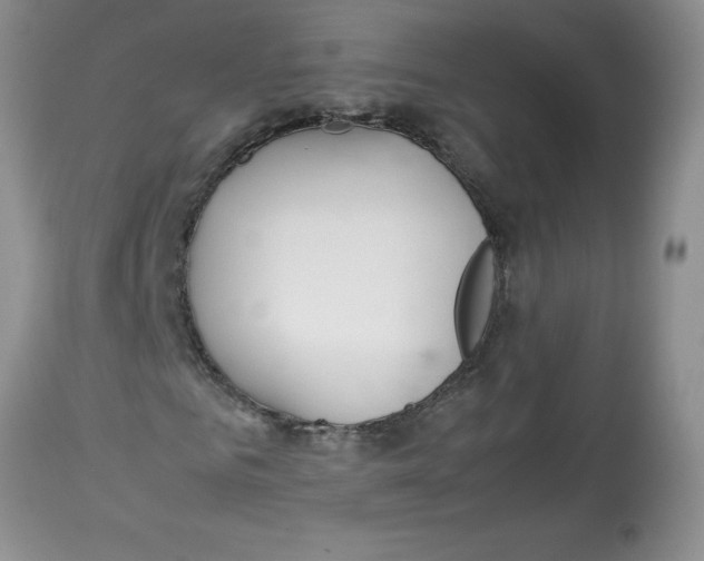 X0000112870961200909181821