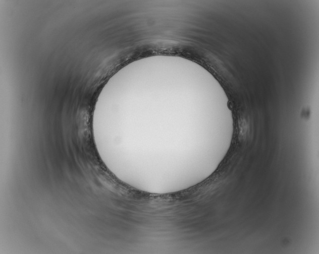 X0000112870964200909181821