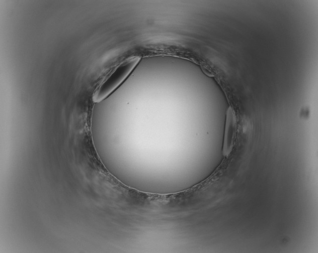 X0000112870965200909181821