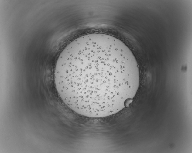 X0000112870966200909181821