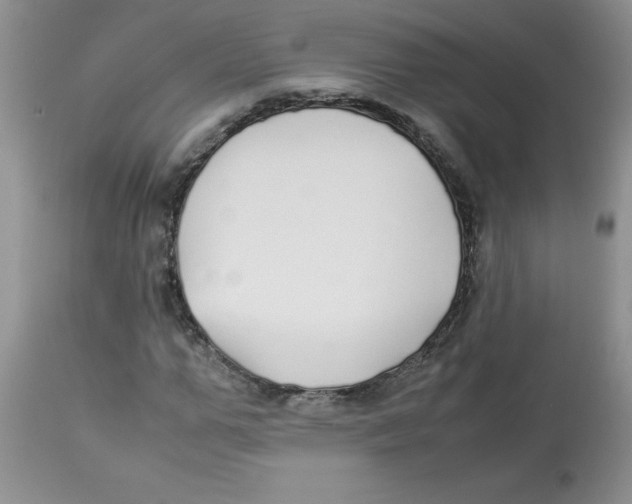 X0000112870967200909181820