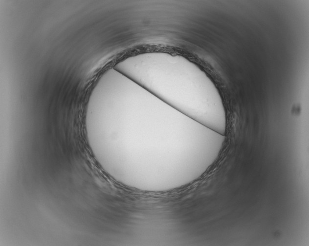 X0000112870968200909181820