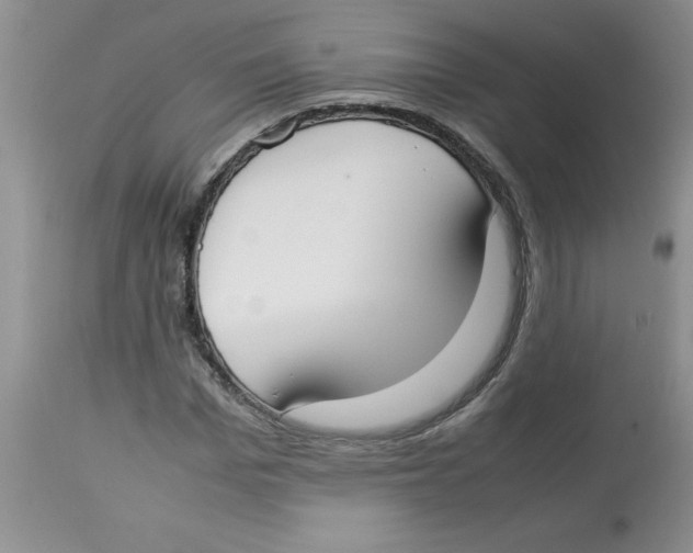 X0000112870969200909181820