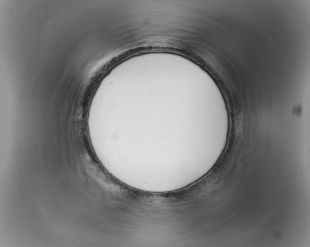 X0000112870971200909181820